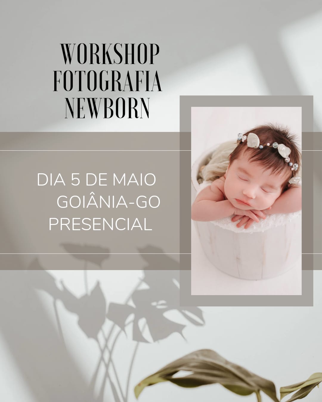 Workshop de Newborn